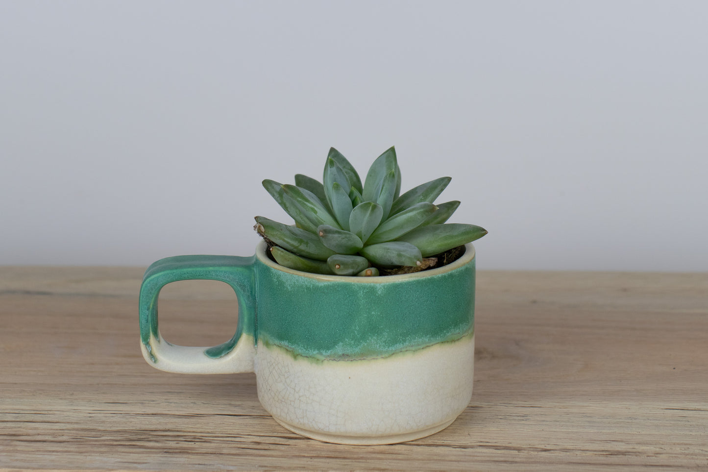 tidepool planter | seconds sale