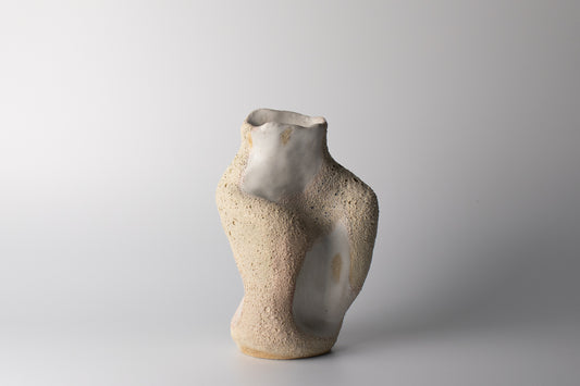 freeform vessel 20