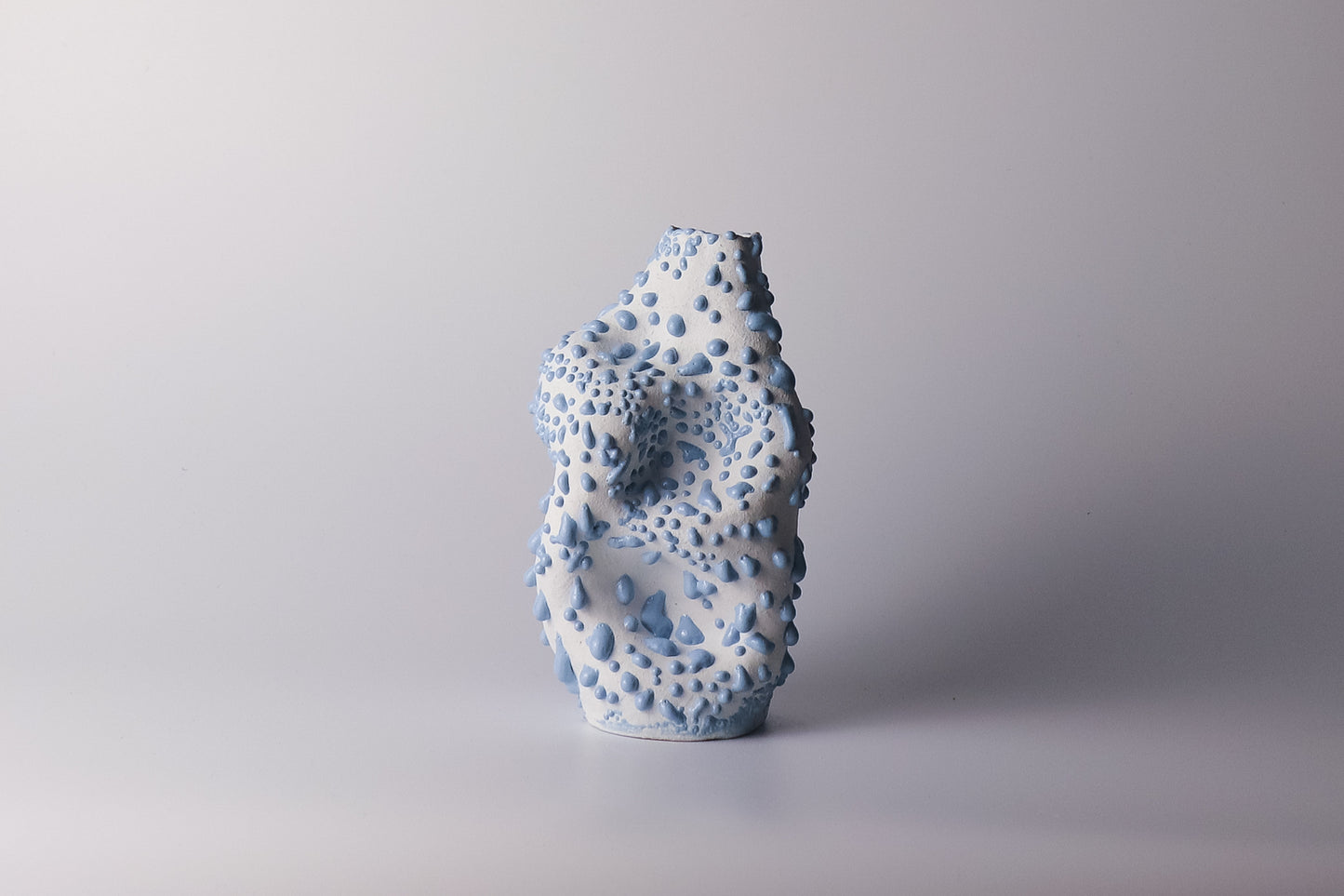 beach house hydrangeas | sculptural vessel