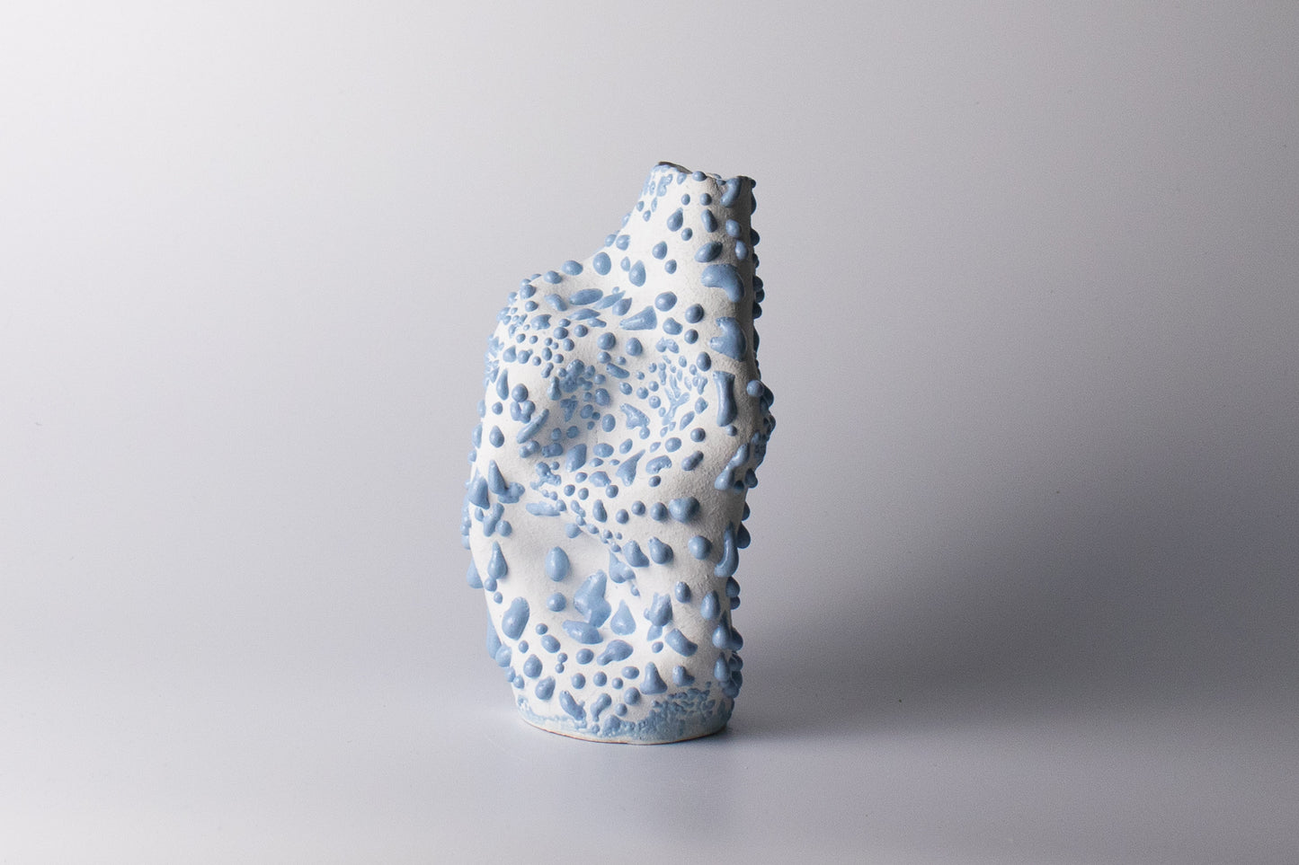 beach house hydrangeas | sculptural vessel