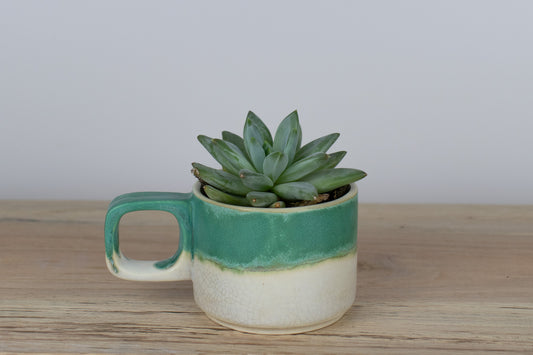 tidepool planter | seconds sale